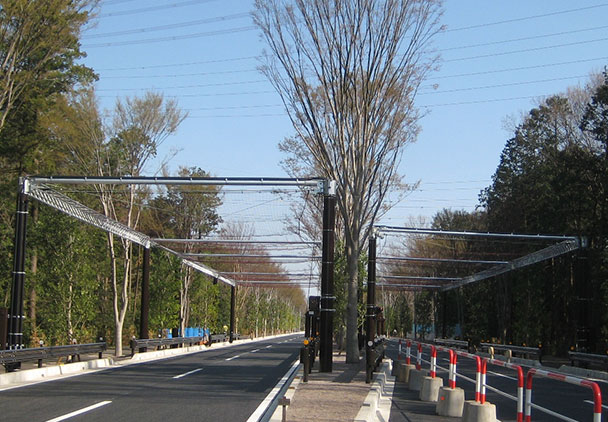 狭山線落ち枝対策